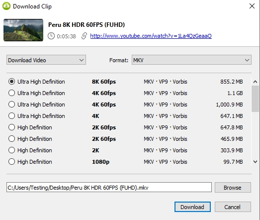 4K Video Downloader：免费视频下载器（可下载全视频平台高清视频）-2